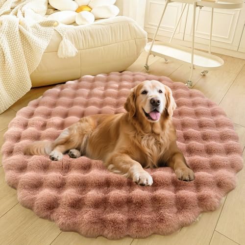 DLLDLGG Übergroßer Shaggy-Teppich fürs Wohnzimmer, Beruhigendes Rundes Hunde- und Katzenbett, Weiche, rutschfeste Haustierunterlage, Kleine, Mittelgroße und Große Matratzenunterlage, Flauschiger DLLDLGG Übergroßer Shaggy-Teppich fürs Wohnzimmer, Beruhigendes Rundes Hunde- und Katzenbett, Weiche, rutschfeste Haustierunterlage, Kleine, Mittelgroße und Große Matratzenunterlage, Flauschiger von DLLDLGG