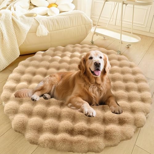 DLLDLGG Übergroßer Shaggy-Teppich fürs Wohnzimmer, Beruhigendes Rundes Hunde- und Katzenbett, Weiche, rutschfeste Haustierunterlage, Kleine, Mittelgroße und Große Matratzenunterlage, Flauschiger DLLDLGG Übergroßer Shaggy-Teppich fürs Wohnzimmer, Beruhigendes Rundes Hunde- und Katzenbett, Weiche, rutschfeste Haustierunterlage, Kleine, Mittelgroße und Große Matratzenunterlage, Flauschiger von DLLDLGG