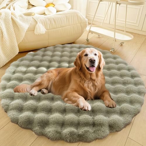 DLLDLGG Welpencouch für Katzen und Hunde mit Rutschfester Unterseite Weiches Flauschiges Großes Haustier-Sofabett, Waschbarer Runder Teppich, Modernes, Zotteliges Bett Als Bodenmatte fürs Wohnzimmer DLLDLGG Welpencouch für Katzen und Hunde mit Rutschfester Unterseite Weiches Flauschiges Großes Haustier-Sofabett, Waschbarer Runder Teppich, Modernes, Zotteliges Bett Als Bodenmatte fürs Wohnzimmer von DLLDLGG
