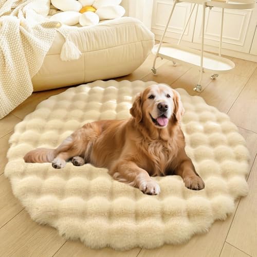 DLLDLGG Welpencouch für Katzen und Hunde mit Rutschfester Unterseite Weiches Flauschiges Großes Haustier-Sofabett, Waschbarer Runder Teppich, Modernes, Zotteliges Bett Als Bodenmatte fürs Wohnzimmer DLLDLGG Welpencouch für Katzen und Hunde mit Rutschfester Unterseite Weiches Flauschiges Großes Haustier-Sofabett, Waschbarer Runder Teppich, Modernes, Zotteliges Bett Als Bodenmatte fürs Wohnzimmer von DLLDLGG