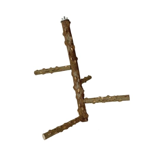 Interaktive Vogel-Sitzstangen, Papageien, Kletterständer, Kauzubehör, für Papageien, Klettern, lustig Interaktive Vogel-Sitzstangen, Papageien, Kletterständer, Kauzubehör, für Papageien, Klettern, lustig von DLUKENY