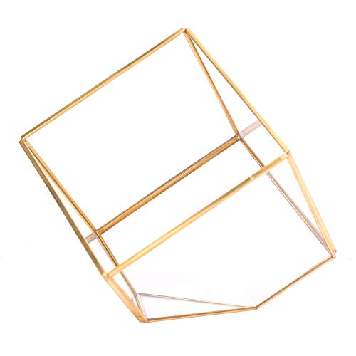 Gold geometrische Form Sukkulenten Pflanze Blumentopf Glas Pflanzer Landschaft Home Tischdekoration von DMLENGOIN