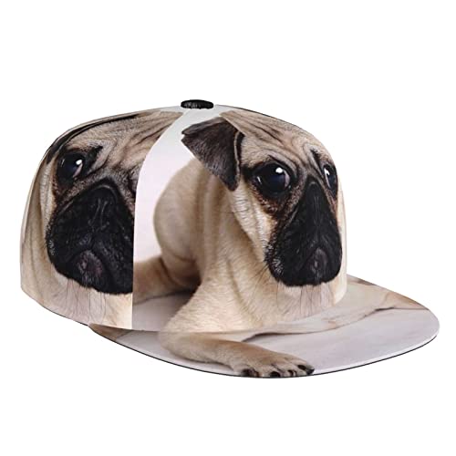 Dog Fashion Baseballkappe mit flacher Krempe, geeignet für den täglichen Gebrauch, Sport, Outdoor, erhältlich in vier Jahreszeiten, Schwarz, Schwarz, Einheitsgröße von DMORJ