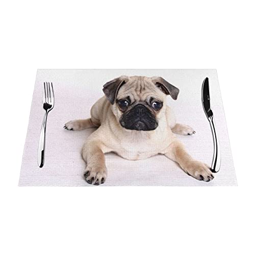 Gewebte Tischsets für Hunde, PVC, hitzebeständig, rutschfest, hitzebeständig, leicht zu reinigen. 45,7 x 30,5 cm von DMORJ