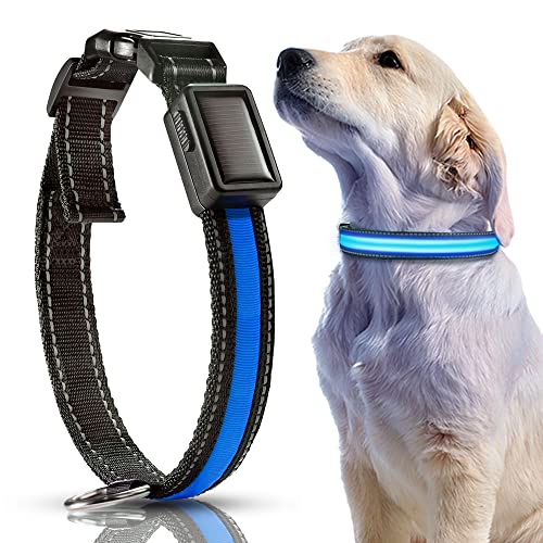 DN DENNOV LED Solar Leuchthalsband Hunde Halsband Leuchtend Hundehalsband USB Wiederaufladbar, Wasserdicht Leuchthalsband für Klein Mittleren Großen und Langhaarigen Hund (L, Blue) von DN DENNOV