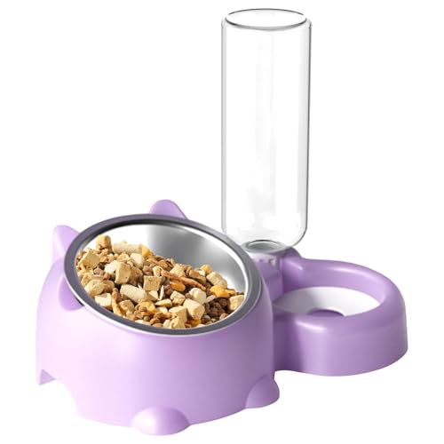 Cat Food Bowl, Cat Bowls for Indoor Cats, Cat Food and Water Bowl Set, Cat Bowls Elevated, 16 Degree Tilted Dog Dish with Water Dispenser, Detachable Pet Feeder Bowl for Cats and Dogs von DNCG