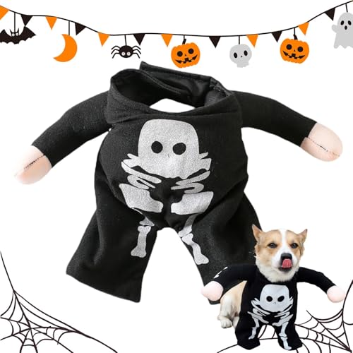 Halloween-Kostüme für Katzen, Halloween-Kostüme für Hunde – Kostüm für Hunde im Dunkeln leuchtender Totenkopf | Kostüm für Hunde Halloween Tierkostüme Kleidung von DNCG