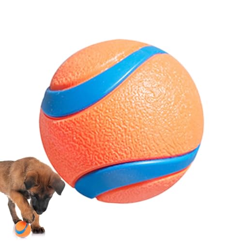 Hundespielzeugball, Tennisbälle für Hunde | Hundespielzeug, interaktives Spielzeug für Welpen, fester elastischer Ball, bissfestes Welpenspielzeug, Zubehör von DNCG