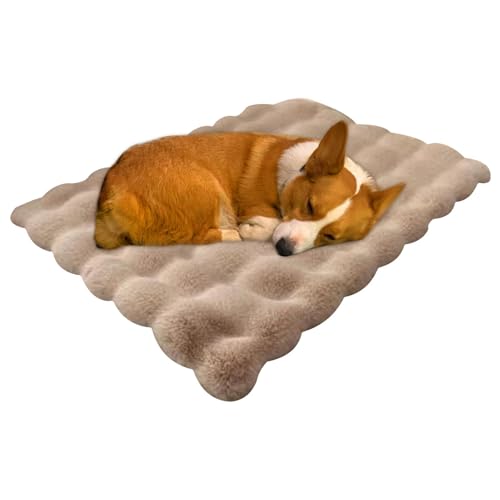 Schlafende Katzenbett | Katzenbett | Kätzchen Matte für Hunde | Hundebett Matte | Hundebett Matte | Heizmatte für Katzen | Hundebett Matte rutschfest von DNCG