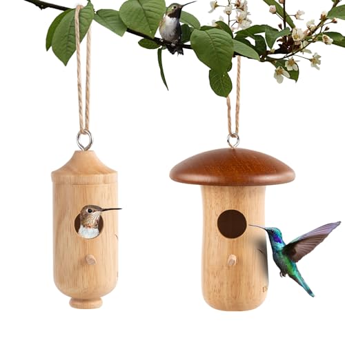 Kolibri-Haus, Kolibri-Häuser aus Holz für draußen zum Nisten, Vogelhäuser für draußen, Hausgartendekoration, Gartengeschenke, 2 Stück von DNZRONK