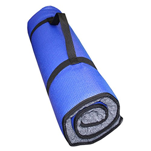 Ball Dynamics FPK9BED ML-BL K9FITbed Matratze mit Übungsposter, Medium/Large, blau von DOG Copenhagen