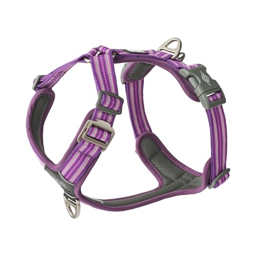 DOG Copenhagen Comfort Walk Air 3.0 Hundegeschirr, Purple Passion, XS von DOG Copenhagen