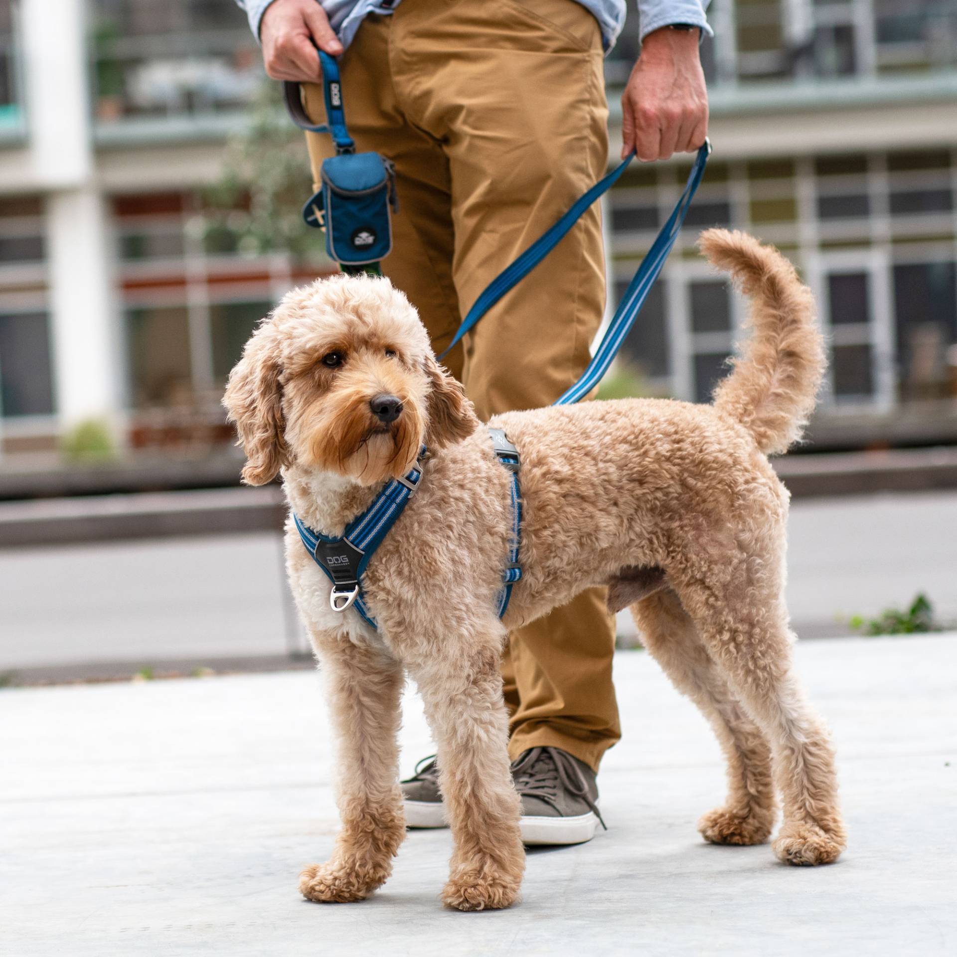 DOG Copenhagen Comfort Walk Air Geschirr Hunting Green M DOG Copenhagen Comfort Walk Air Geschirr Hunting Green M von DOG Copenhagen