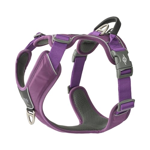 DOG Copenhagen Comfort Walk Pro Hundegeschirr, Purple Passion, S von DOG Copenhagen