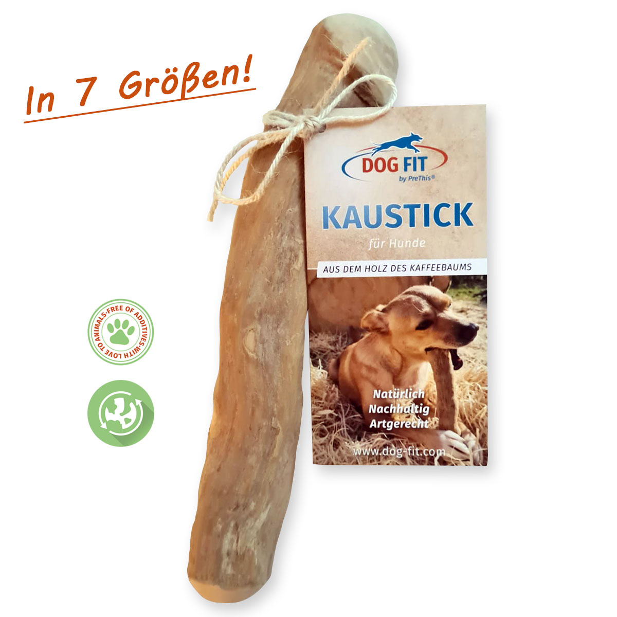 DOG FIT by PreThis® Hunde Kauholz für die Zahnpflege| Kaffeebaumholz Kaustick | In 7 Größen | Splitterfreie Zahnpflege für Hunde aus ökologischem Anbau von DOG FIT by PreThis®