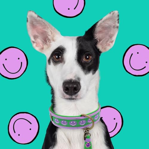 DWAM Dog with a Mission - Hundehalsband XXS | Smiley, Grün und Lila mit Perlenmuster | Boho und Hippie | Ideal für kleine Hunde | Handgemacht | Modisch und Bunt | Aus weichem Echtes Leder | 2 cm Breit von DOG WITH A MISSION