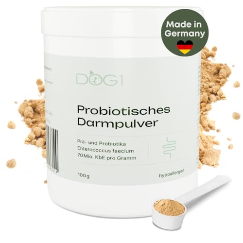 DOG1 Probiotisches Darmpulver Hunde - 100g für verbesserte Verdauung & Immunsystem | Darmflora aufbauen mit Prä- und Probiotika bei Durchfall, Sodbrennen & Gras fressen | Darmsanierung | getreidefrei von DOG1