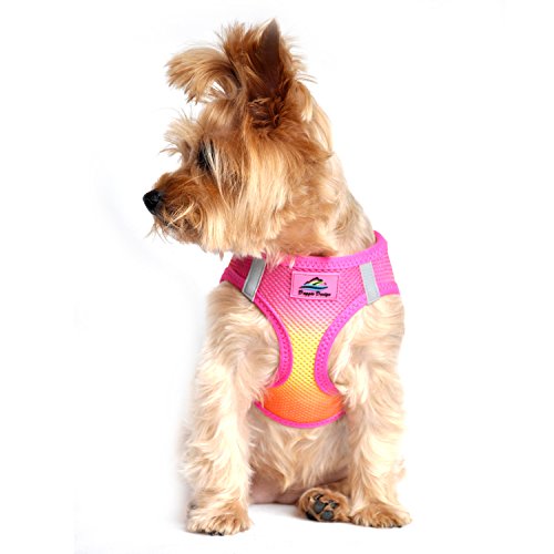 American River Hundegeschirr Ombre Collection – Raspberry/Pink/Orange (L (48,3 cm – 53,3 cm Umfang)) von DOGGIE DESIGN