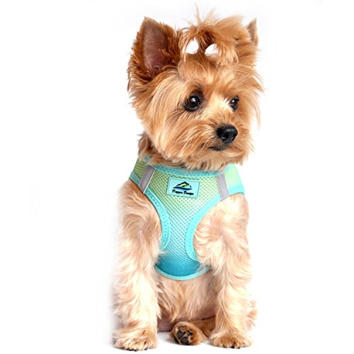 DoggieDesign American River Hundegeschirr Ombre Collection (S, Aruba Blue) von DOGGIE DESIGN