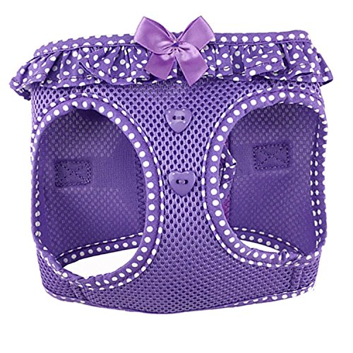 Hund Design American River Choke Gratis Hundegeschirr, XS, Paisley Purple Dot von DOGGIE DESIGN