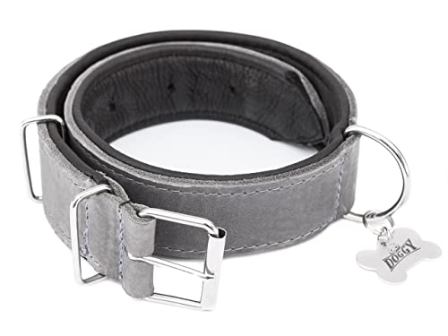 Hundehalsband Leder, Lederhalsband Hund, Halsband, Leder, Metallschnalle, Asche, R3: 65 x 4 cm von DOGGY