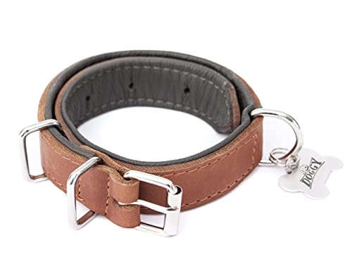 Hundehalsband Leder, Lederhalsband Hund, Halsband, Leder, Metallschnalle, Hell Braun, R1: 55 x 2,5 cm von DOGGY