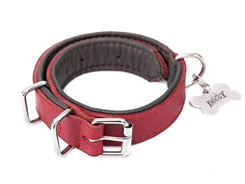 Hundehalsband Leder, Lederhalsband Hund, Halsband, Leder, Metallschnalle, Rot, R2: 60 x 3 cm von DOGGY