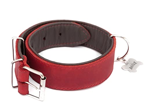 Hundehalsband Leder, Lederhalsband Hund, Halsband, Leder, Metallschnalle, Rot, R4: 70 x 4 cm von DOGGY