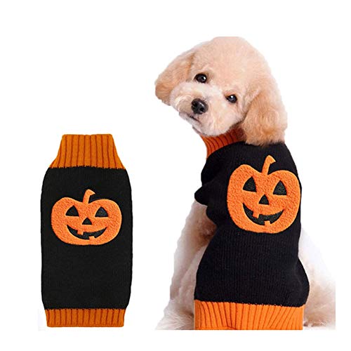 DOGGYZSTYLE Halloween Kürbis Hund Pullover Haustier Kostüm Fashion Urlaub Party Puppy Geschenk für Hunde und Katzen (Kürbis-A, M) von DOGGYZSTYLE