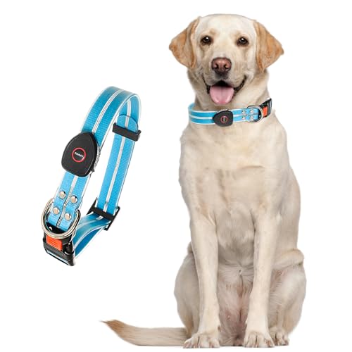 LED Hundehalsband Leuchtend-3 Beleuchtungsmodi,USB Aufladbar Wasserdichtes Hundehalsband,Einstellbar Sicherheit Hundehalsband-Super Helle Sicherheit für Die Nacht,Blau von DOGGYZSTYLE