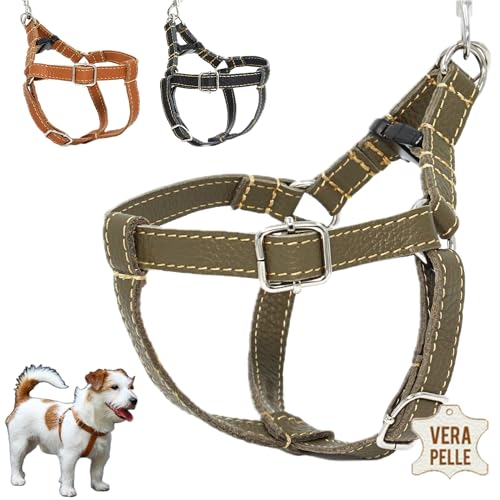 DOGISSIMI Hundegeschirr für kleine und mittlere Hunde, Verstellbares und ergonomisches Hundegeschirr aus echtem Leder, handgefertigt in Italien, Leder-Hundegeschirr (M, Militär) von DOGISSIMI