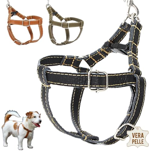 DOGISSIMI Hundegeschirr für kleine und mittlere Hunde, Verstellbares und ergonomisches Hundegeschirr aus echtem Leder, handgefertigt in Italien, Leder-Hundegeschirr (S, Schwarz) von DOGISSIMI