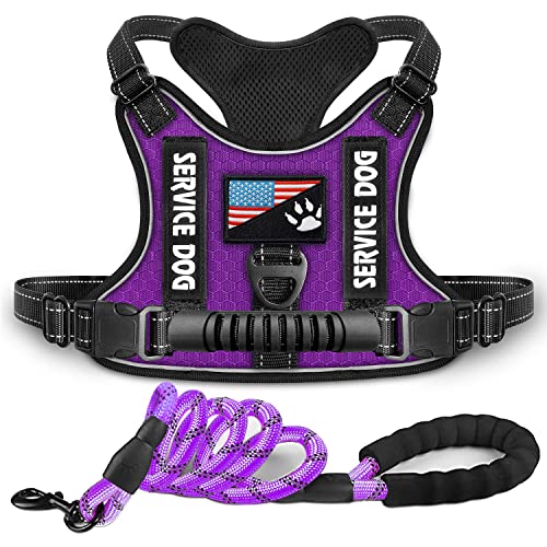 Dogmify Service Dog Harness, No-Pull Reflective Pet Vest Harness and Leash Set, adjustable Oxford Service Dog Vest with Handle, Easy Control for Small Medium Large Dogs von DOGMIFY