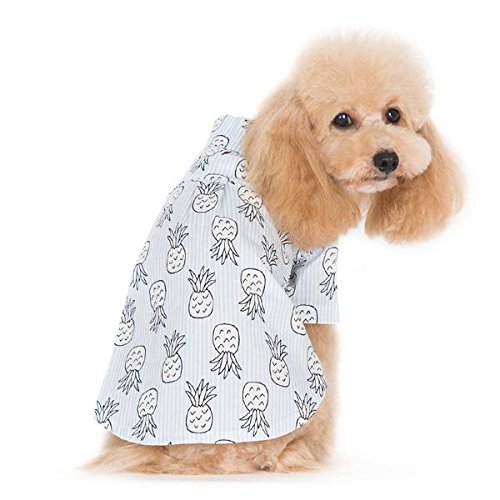 DOGO 100 Dogge Ananas Hund Shirt, Extra Large, Blau von DOGO 100