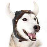 Dogo Wikingerhelm, Medium von DOGO 100