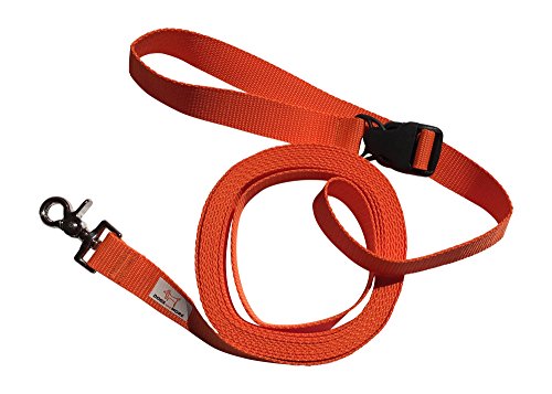 Dogs and More - VERLÃ„NGERBARE Schleppleine mit LÃ–SBARER Handschlaufe - Basis 5 Meter (Orange; 25 mm breit) von DOGS and MORE