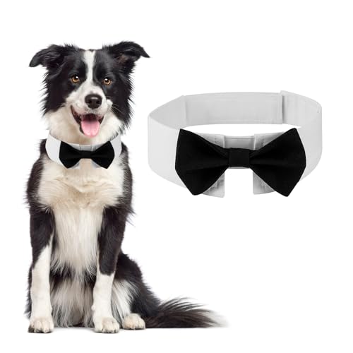 DOGTACT Elegante Fliege für Hunde, niedliche Smokingfliege mit verstellbarem weißem Halsband für formelle Haustiere, perfekt für Valentinstag, Hochzeiten und Geburtstage von DOGTACT