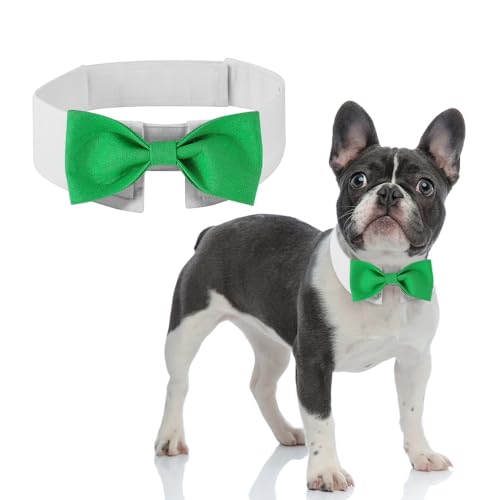 DOGTACT Elegante Fliege für Hunde, niedliche Smokingfliege mit verstellbarem weißem Halsband für formelle Haustiere, perfekt für Valentinstag, Hochzeiten und Geburtstage von DOGTACT