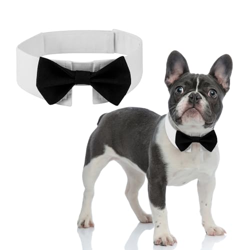 DOGTACT Elegante Fliege für Hunde, niedliche Smokingfliege mit verstellbarem weißem Halsband für formelle Haustiere, perfekt für Valentinstag, Hochzeiten und Geburtstage von DOGTACT