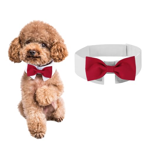 DOGTACT Elegante Fliege für Hunde, niedliche Smokingfliege mit verstellbarem weißem Halsband für formelle Haustiere, perfekt für Valentinstag, Hochzeiten und Geburtstage von DOGTACT