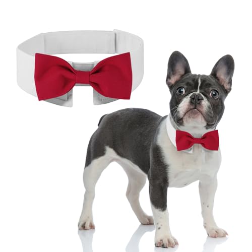 DOGTACT Elegante Fliege für Hunde, niedliche Smokingfliege mit verstellbarem weißem Halsband für formelle Haustiere, perfekt für Valentinstag, Hochzeiten und Geburtstage von DOGTACT