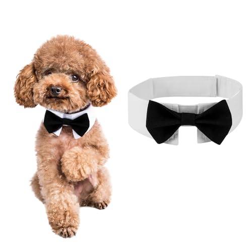 DOGTACT Elegante Fliege für Hunde, niedliche Smokingfliege mit verstellbarem weißem Halsband für formelle Haustiere, perfekt für Valentinstag, Hochzeiten und Geburtstage von DOGTACT