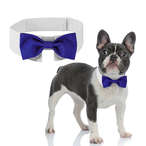 DOGTACT Elegante Fliege für Hunde – niedliche Smokingfliege mit verstellbarem weißem Halsband für formelle Haustiere – perfekt für Valentinstag, Hochzeiten und Geburtstage von DOGTACT