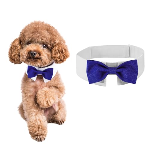 DOGTACT Elegante Fliege für Hunde – niedliche Smokingfliege mit verstellbarem weißem Halsband für formelle Haustiere – perfekt für Valentinstag, Hochzeiten und Geburtstage von DOGTACT