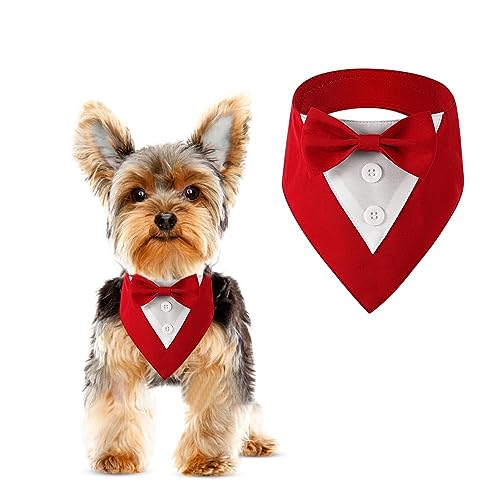 DOGTACT Hund Hochzeit Bandana, formeller Hund Smoking Verstellbares Haustier Halsband mit Schleife Kleine Mittlere und Große Hunde Hochzeitskleidung, Geburtstagsgeschenke für Hunde (Klein, Rot) von DOGTACT