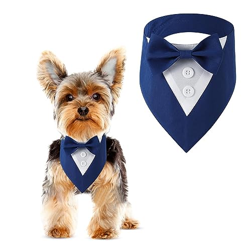 DOGTACT Hund Hochzeit Bandana, formeller Hund Smoking verstellbares Haustierhalsband mit Schleife, kleine, mittelgroße und große Hunde Hochzeitskleidung, Geburtstagsgeschenke für Hunde (klein, blau) von DOGTACT