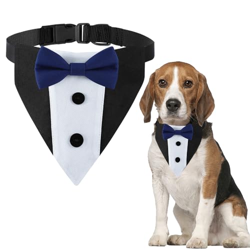 DOGTACT Hunde-Smoking, formelles Hochzeits-Hundehalstuch, verstellbares Halsband mit Fliege, klein, mittel, groß, Jungen, Hund, Hochzeit, Fellpflege, Geburtstagsparty, Geschenk (M, Blau) von DOGTACT