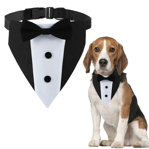 DOGTACT Hunde-Smoking, formelles Hochzeits-Hundehalstuch, verstellbares Halsband mit Fliege, klein, mittel, groß, Jungen, Hund, Hochzeit, Fellpflege, Geburtstagsparty, Geschenk (M, Schwarz) von DOGTACT