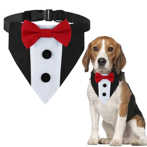 DOGTACT Hunde-Smoking, formelles Hochzeits-Hundehalstuch, verstellbares Halsband mit Fliege, klein, mittel, groß, Jungen, Hund, Hochzeit, Fellpflege, Geburtstagsparty, Geschenk (M, rot) von DOGTACT