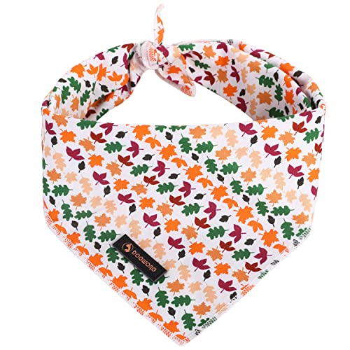 DOGWONG Fall Maple Hunde-Bandana von DOGWONG